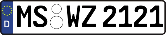 MS-WZ2121
