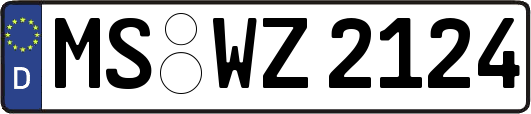 MS-WZ2124