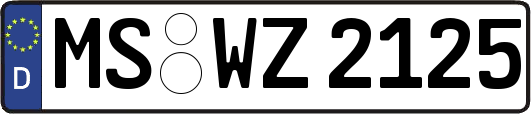 MS-WZ2125
