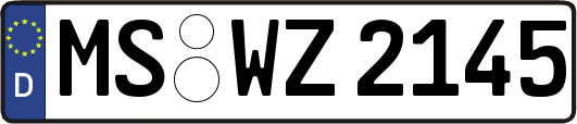MS-WZ2145