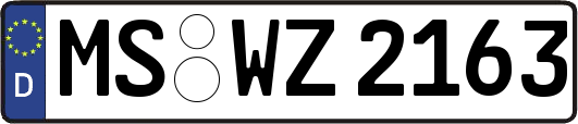 MS-WZ2163