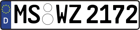 MS-WZ2172