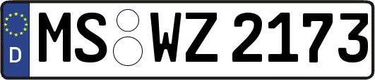 MS-WZ2173