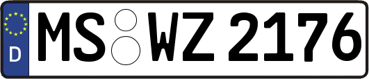 MS-WZ2176