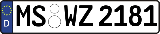 MS-WZ2181