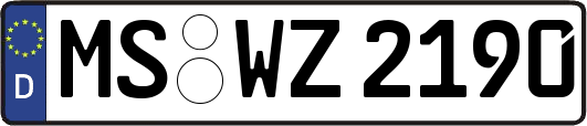 MS-WZ2190