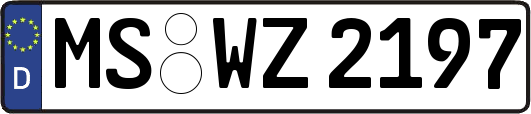 MS-WZ2197