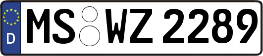 MS-WZ2289