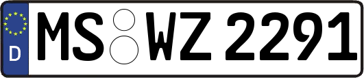 MS-WZ2291