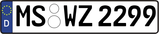 MS-WZ2299
