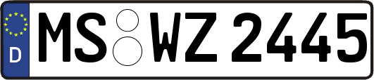 MS-WZ2445