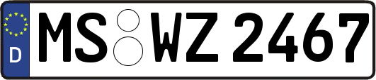 MS-WZ2467