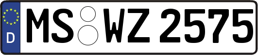 MS-WZ2575