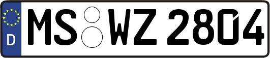 MS-WZ2804