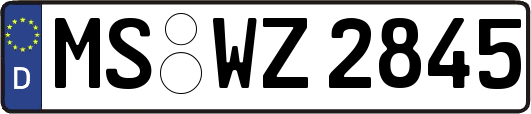 MS-WZ2845