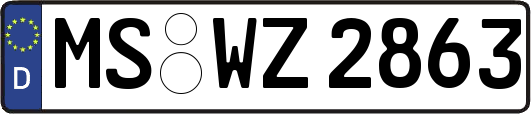 MS-WZ2863