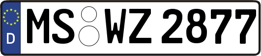 MS-WZ2877