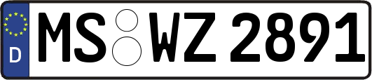 MS-WZ2891