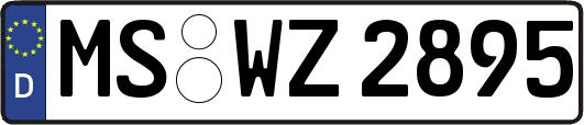MS-WZ2895
