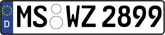 MS-WZ2899