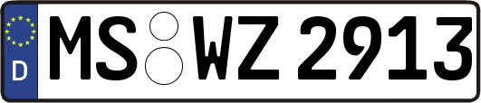 MS-WZ2913