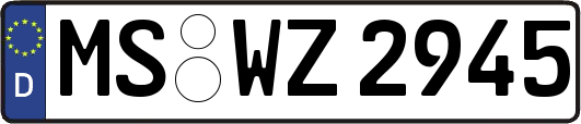 MS-WZ2945