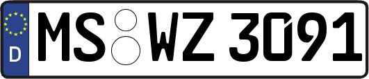 MS-WZ3091