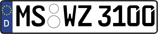 MS-WZ3100