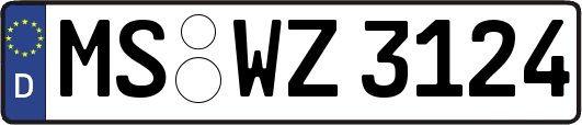 MS-WZ3124