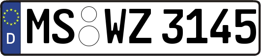 MS-WZ3145