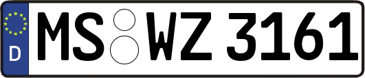 MS-WZ3161