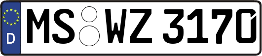 MS-WZ3170