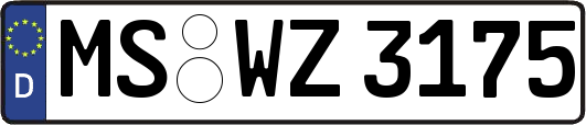 MS-WZ3175