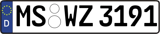 MS-WZ3191