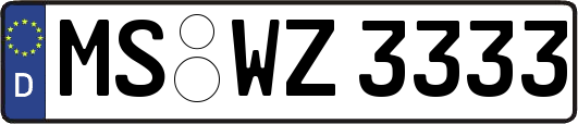 MS-WZ3333