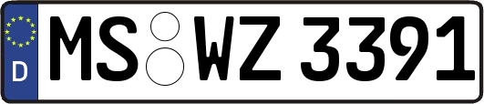 MS-WZ3391