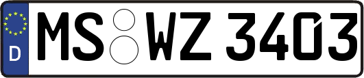 MS-WZ3403