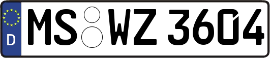 MS-WZ3604