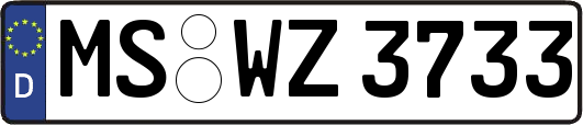 MS-WZ3733