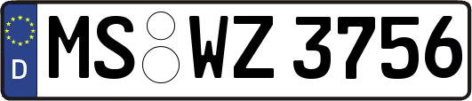 MS-WZ3756