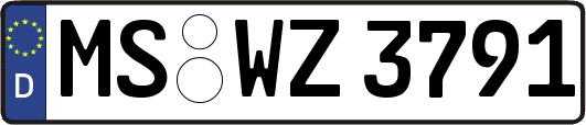 MS-WZ3791
