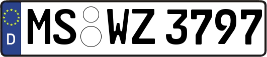 MS-WZ3797