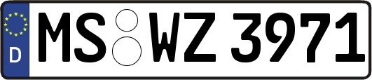 MS-WZ3971