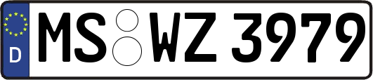 MS-WZ3979