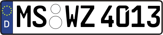 MS-WZ4013