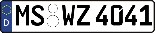 MS-WZ4041