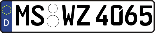MS-WZ4065