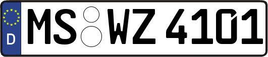 MS-WZ4101