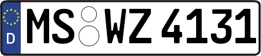 MS-WZ4131