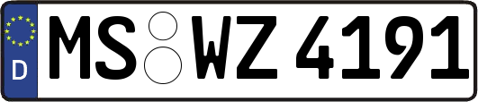 MS-WZ4191